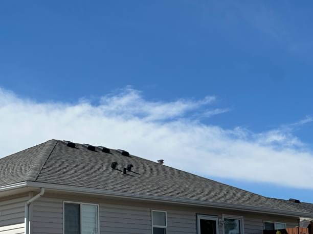  Glenwood Springs, CO Roof Repair & Installaion Pros